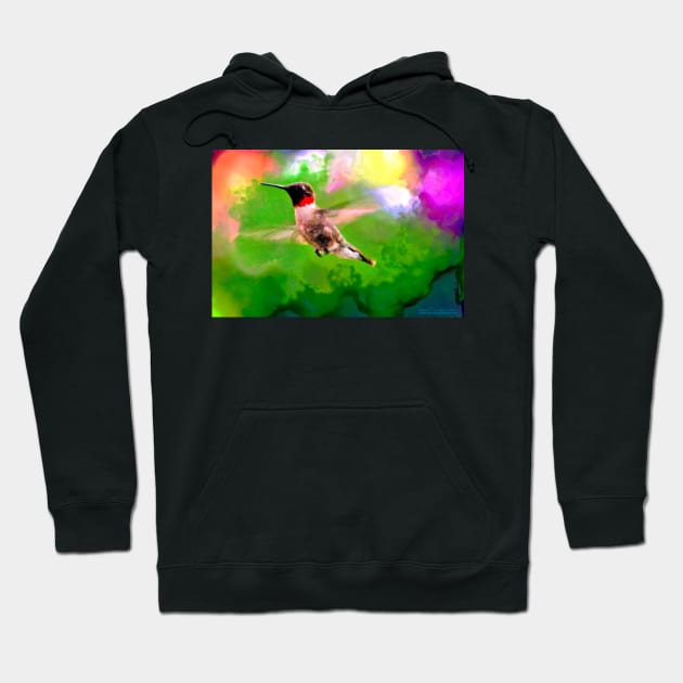 Hummingbird Visit Hoodie by michaelasamples